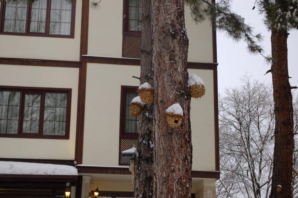 Diamond Park Hotel Safranbolu Exterior foto